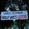 pablo_pe
